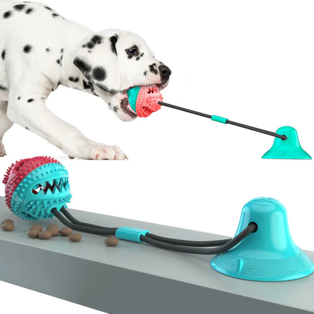 Interactive Suction Cup Dog Toy